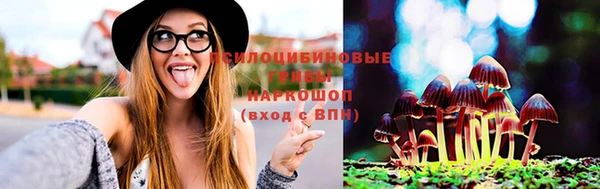 крисы Балахна