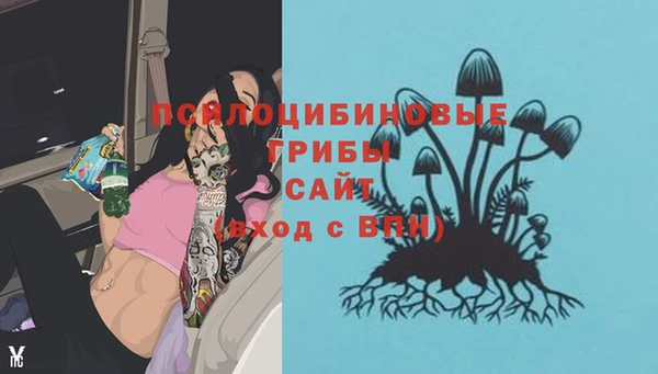 крисы Балахна