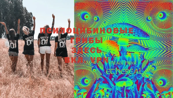 крисы Балахна