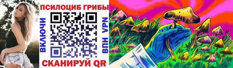 купить  цена  Покровск  гидра зеркало  Псилоцибиновые грибы Psilocybe 